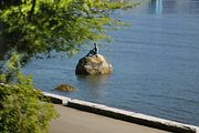 65 - Vancouver - IMG_1484
